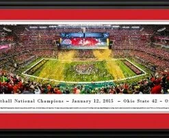 Discount - Ohio State Buckeyes 2015 CFP Champions Panorama