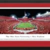 Discount - Ohio State Buckeyes Football Panorama