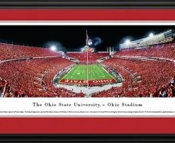 Discount - Ohio State Buckeyes Football Panorama