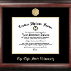 Discount - Ohio State Buckeyes Gold Embossed Diploma Frame