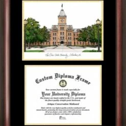 Discount - Ohio State Buckeyes Gold Embossed Diploma Frame with Campus Images Lithograph