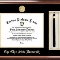 Discount - Ohio State Buckeyes Diploma Frame & Tassel Box