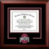 Discount - Ohio State Buckeyes Spirit Diploma Frame