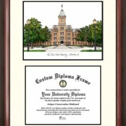 Discount - Ohio State Buckeyes Scholar Diploma Frame