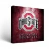 Discount - Ohio State Buckeyes Museum Canvas Wall Art