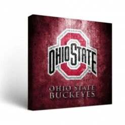 Discount - Ohio State Buckeyes Museum Canvas Wall Art
