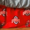 Discount - Ohio State Buckeyes Bed Skirt