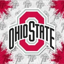 Discount - Ohio State Buckeyes Logo Canvas Print