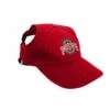 Discount - Ohio State Buckeyes Pet Baseball Hat
