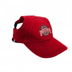 Discount - Ohio State Buckeyes Pet Baseball Hat