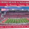 Discount - Ohio State Buckeyes 1000 Piece Panoramic Puzzle
