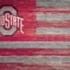 Discount - Ohio State Buckeyes 11" x 19" Distressed Flag Sign