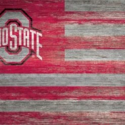 Discount - Ohio State Buckeyes 11" x 19" Distressed Flag Sign