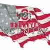 Discount - Ohio State Buckeyes 15" USA Flag Cutout Sign