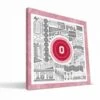 Discount - Ohio State Buckeyes 16" x 16" Pictograph Canvas Print