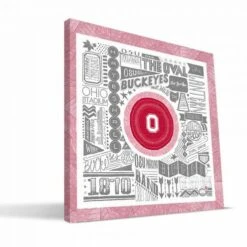 Discount - Ohio State Buckeyes 16" x 16" Pictograph Canvas Print