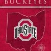 Discount - Ohio State Buckeyes 17" x 26" Coordinates Sign
