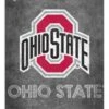 Discount - Ohio State Buckeyes 6" x 12" Chalk Playbook Sign