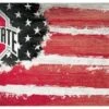 Discount - Ohio State Buckeyes 6" x 12" Flag Sign