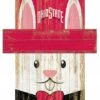 Discount - Ohio State Buckeyes 6" x 5" Easter Bunny Head