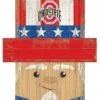 Discount - Ohio State Buckeyes 6" x 5" Patriotic Head