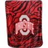 Discount - Ohio State Buckeyes Raschel Throw Blanket