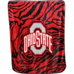 Discount - Ohio State Buckeyes Raschel Throw Blanket