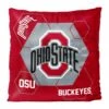 Discount - Ohio State Buckeyes Connector Double Sided Velvet Pillow