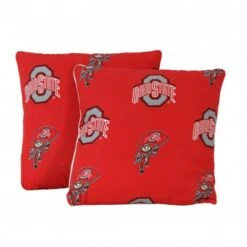 Discount - Ohio State Buckeyes Decorative Pillow Set