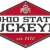 Discount - Ohio State Buckeyes Diamond Panel Metal Sign