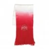Discount - Ohio State Buckeyes Dip Dye Scarf
