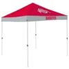 Discount - Ohio State Buckeyes Economy Tailgate Canopy Tent