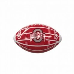 Discount - Ohio State Buckeyes Field Mini Glossy Football