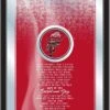 Discount - Ohio State Buckeyes Fight Song Mirror