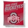 Discount - Ohio State Buckeyes New School Mink Sherpa Throw Blanket