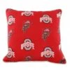 Discount - Ohio State Buckeyes Outdoor Decorative Pillow
